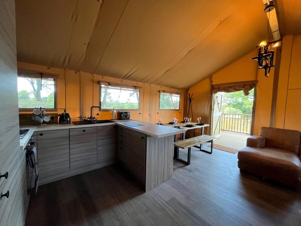 Aladdin Safari Tent Tenby Exteriör bild