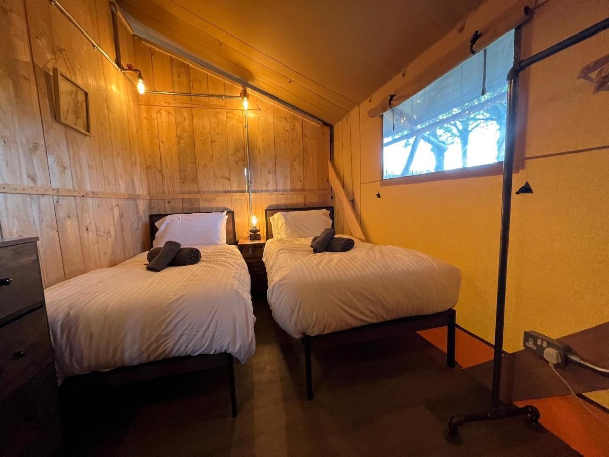 Aladdin Safari Tent Tenby Exteriör bild